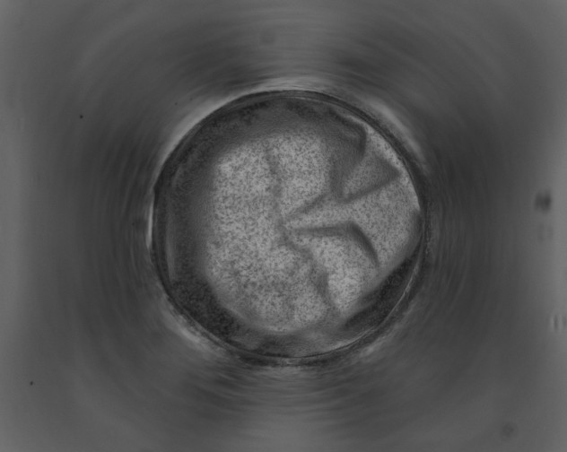 X0000093261276200710171440