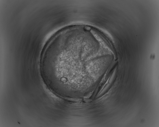 X0000093261279200710171440