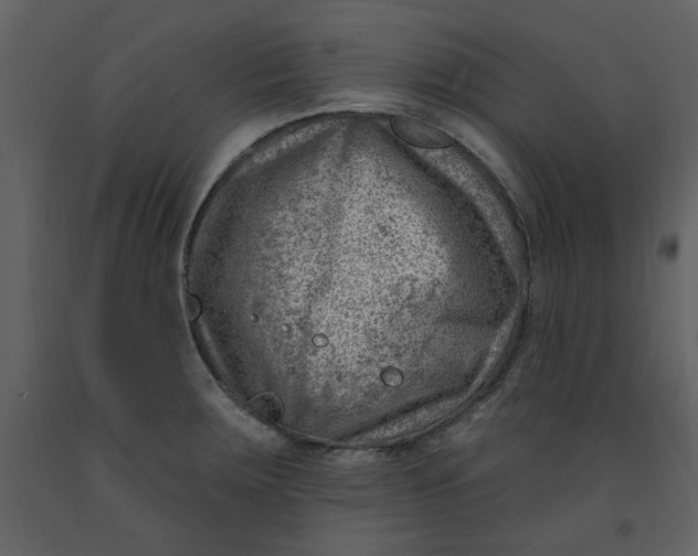 X0000093261283200710171440