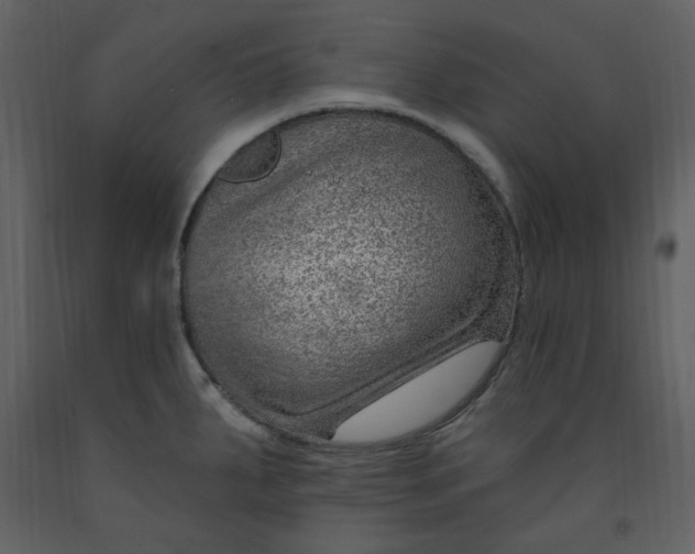 X0000093261287200710171440