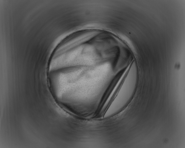 X0000093261288200710171440