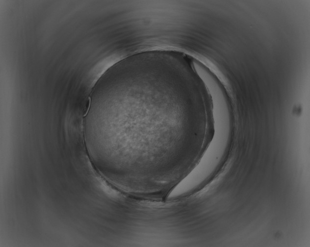 X0000093261289200710171440