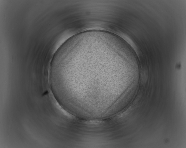 X0000093261290200710171440