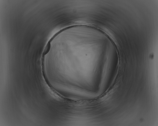 X0000093261291200710171440