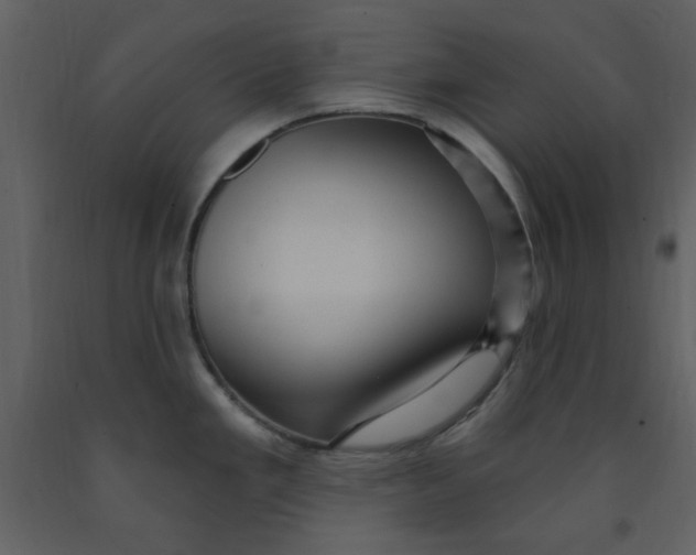 X0000093261293200710171440