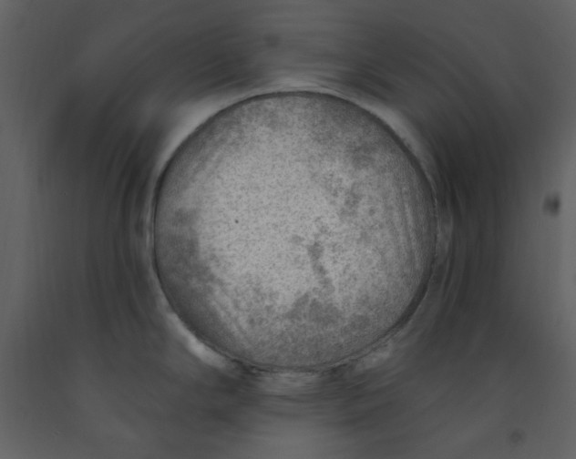 X0000093261294200710171440