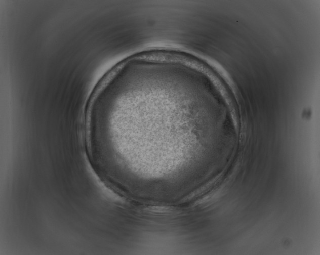 X0000093261295200710171440