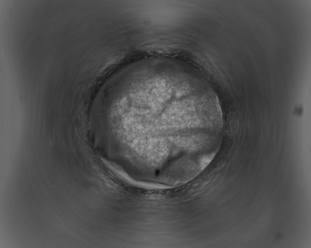 X0000093261297200710171439