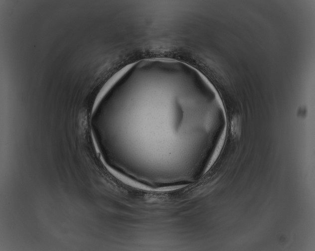 X0000093261299200710171439