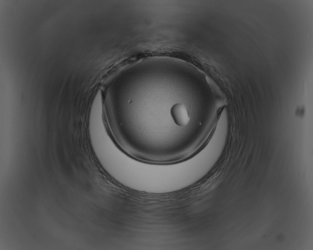 X0000093261300200710171439