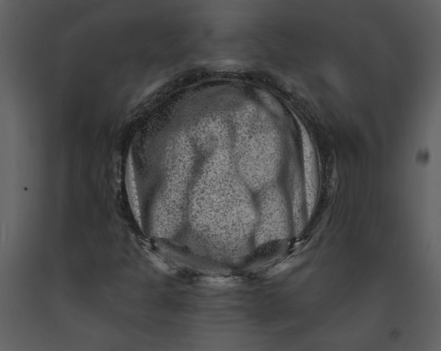 X0000093261301200710171439