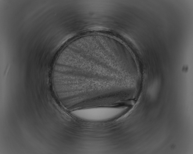 X0000093261305200710171439