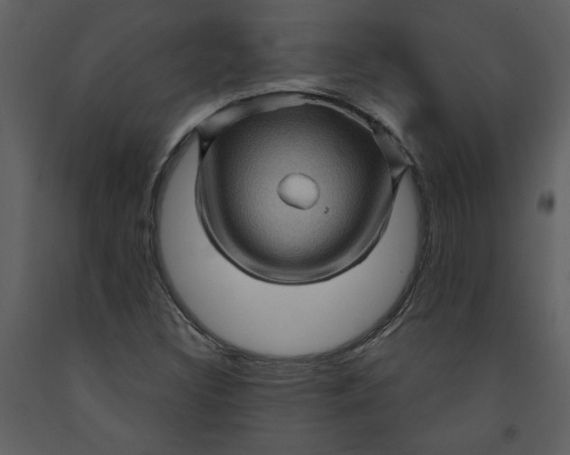 X0000093261308200710171439