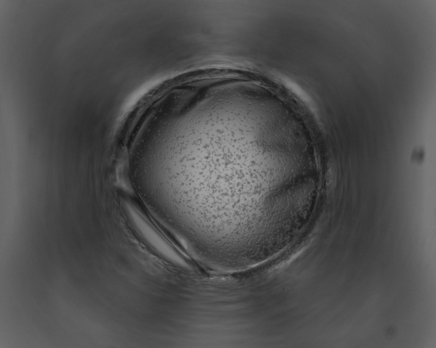 X0000093261310200710171439