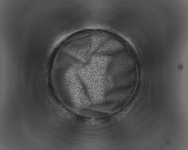 X0000093261311200710171439