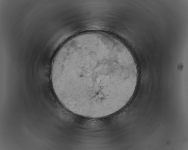 X0000093261314200710171439