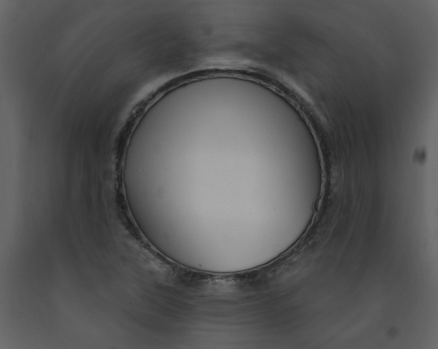 X0000093261315200710171439