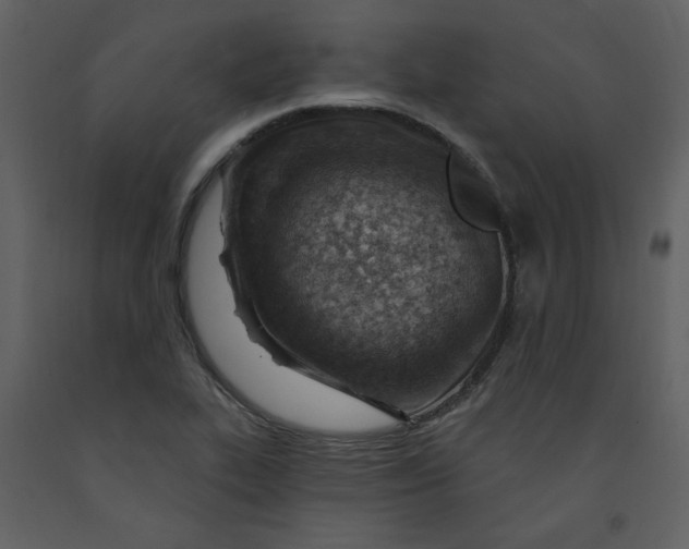 X0000093261319200710171440