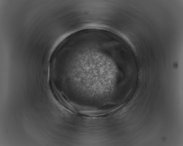 X0000093261323200710171440