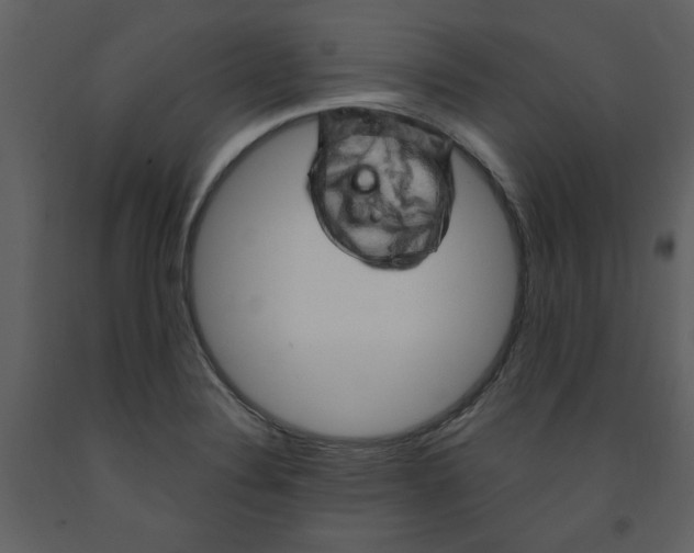 X0000093261324200710171440