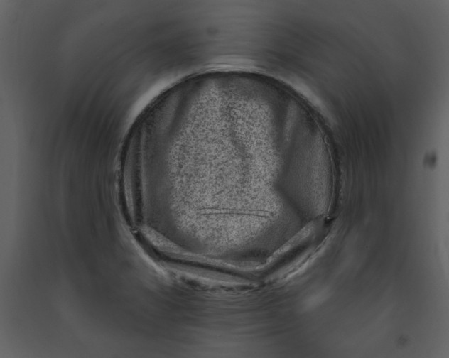 X0000093261325200710171440