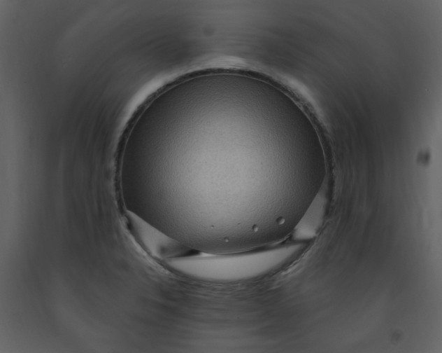 X0000093261326200710171440