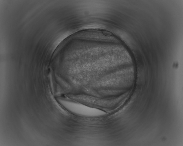 X0000093261329200710171440