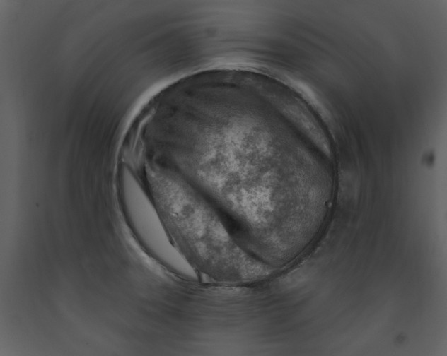 X0000093261331200710171440