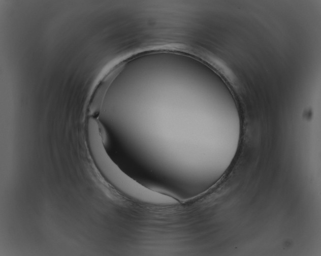 X0000093261332200710171440