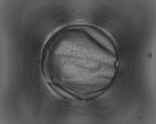 X0000093261333200710171440