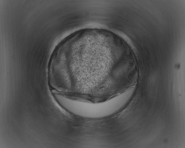 X0000093261335200710171440