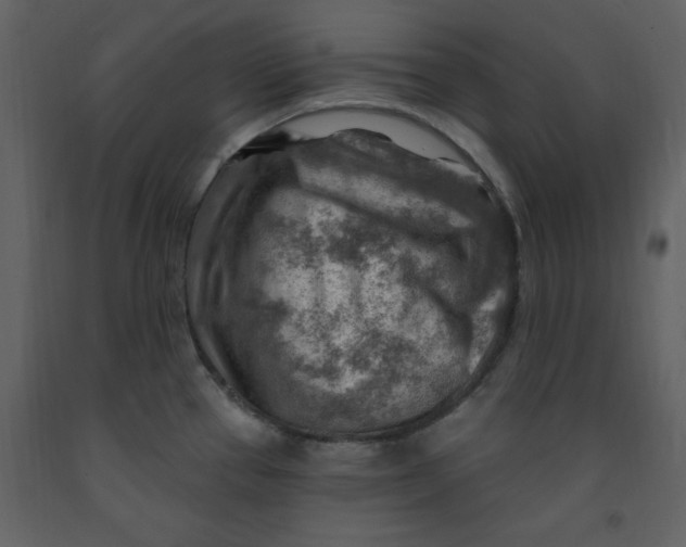 X0000093261337200710171440