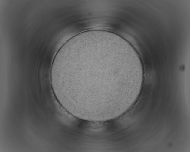 X0000093261338200710171440