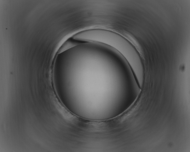 X0000093261340200710171440