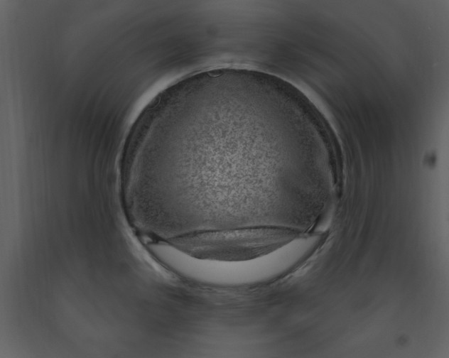 X0000093261341200710171440