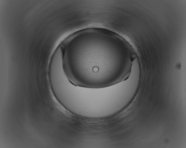 X0000093261342200710171440