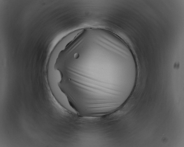 X0000093261344200710171440