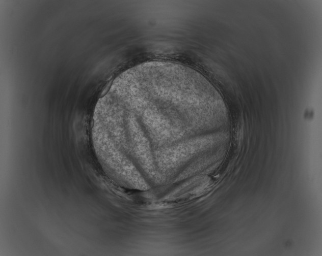 X0000093261346200710171439