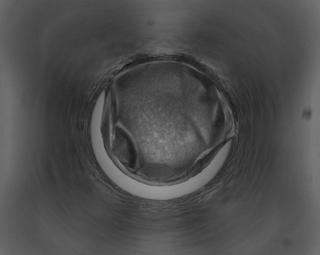 X0000093261348200710171439