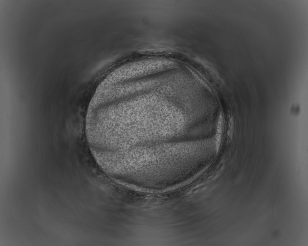 X0000093261350200710171439