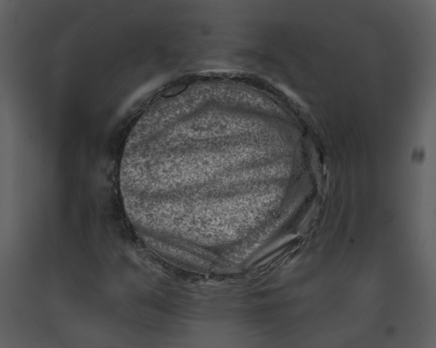 X0000093261351200710171439