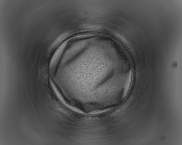 X0000093261354200710171439