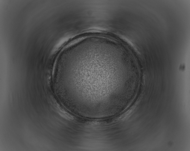 X0000093261355200710171439