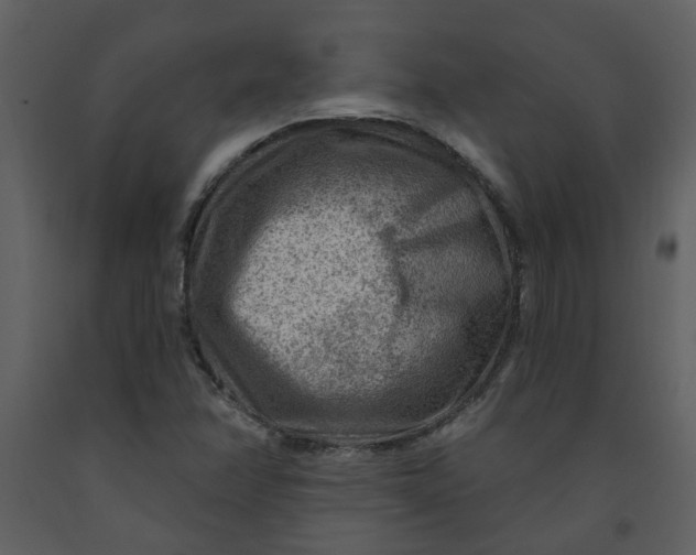 X0000093261358200710171439