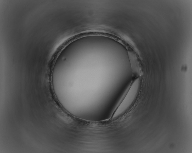 X0000093261360200710171439