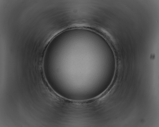 X0000093261361200710171439