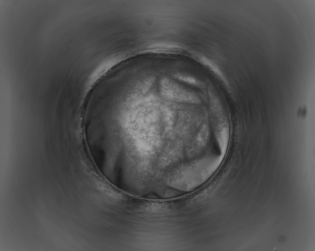 X0000093261362200710171439