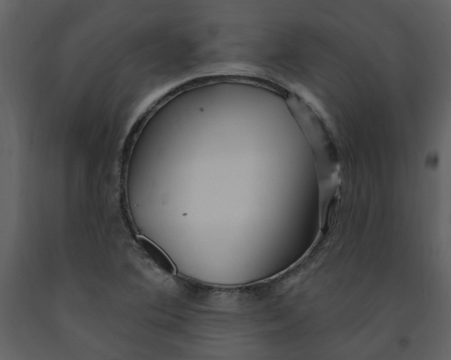 X0000093261364200710171439