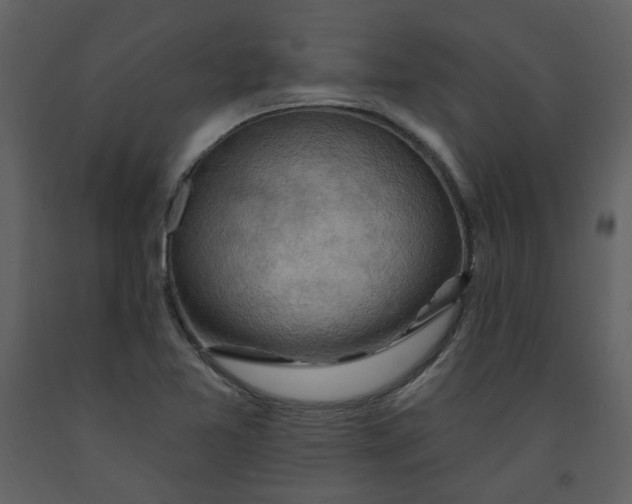 X0000093261365200710171439