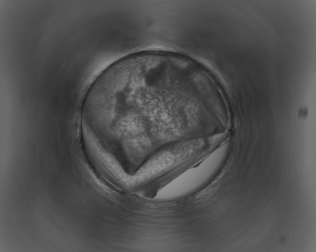 X0000093261367200710171439